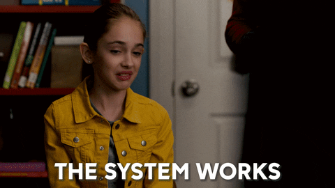 Reaction GIF captioned "The system works."